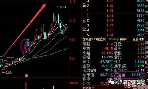龙头股的特点及特征是什么意思(龙头股的特点及特征是什么意思啊)_https://www.ccit-cctv.com_创业板_第1张