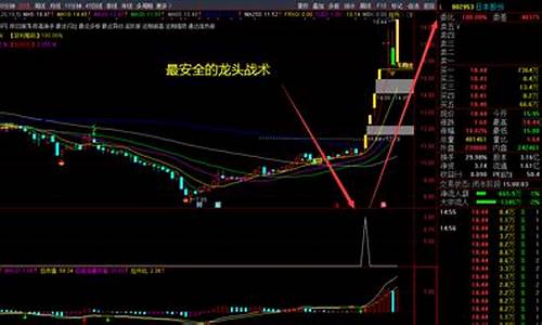 10大软件龙头股票(10大软件龙头股票代码)_https://www.ccit-cctv.com_北交所_第1张