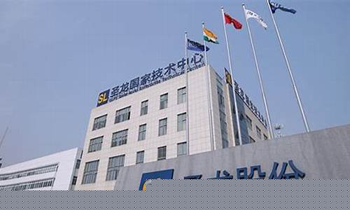 龙头股份是做什么的上市公司(龙头股份百科)_https://www.ccit-cctv.com_科创板_第1张