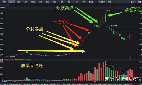 股票龙头战法是什么意思(股票龙头战法是什么意思呀)_https://www.ccit-cctv.com_科创吧_第1张