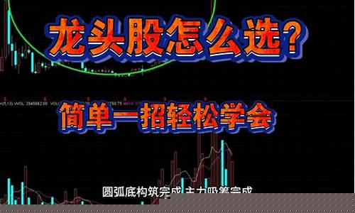 怎么选龙头股(选龙头股最简单的方法)_https://www.ccit-cctv.com_上交所_第1张