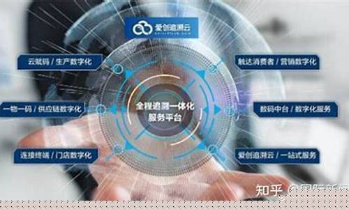 数字化龙头公司有哪些(数字化 龙头)_https://www.ccit-cctv.com_上交所_第1张