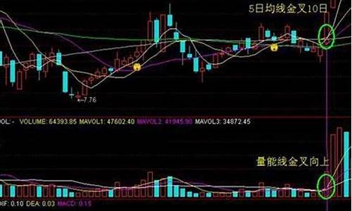 明天有哪些股票会涨停(明天哪个股票涨停啊)_https://www.ccit-cctv.com_科创板_第1张