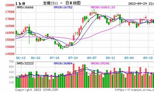 泰国 猪肉 期货行情走势(猪肉期货行情实时行情)_https://www.ccit-cctv.com_上交所_第1张