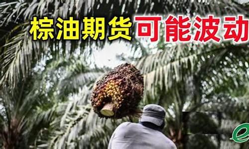 瑞棕油期货行情(棕油期货实时行情新浪网)_https://www.ccit-cctv.com_上交所_第1张