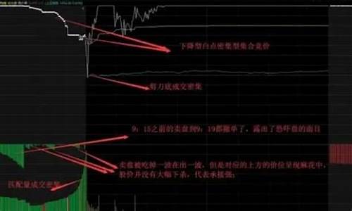 创业板集合竞价可以挂涨停吗(创业板新规集合竞价可挂涨停板吗)_https://www.ccit-cctv.com_上交所_第1张