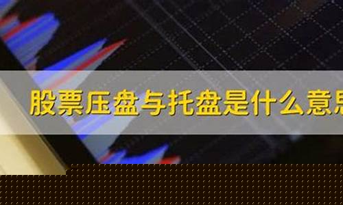 托盘是什么意思股票(股票托盘是什么意思)_https://www.ccit-cctv.com_创业板_第1张