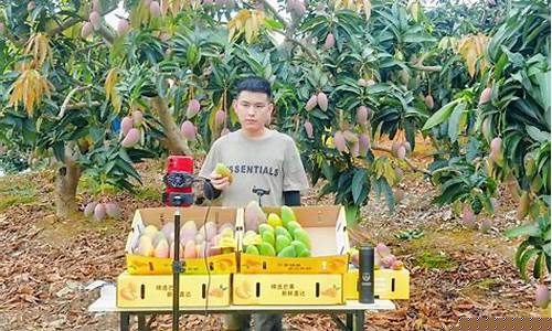 芒果直播室学炒期货(芒果期货直播间)_https://www.ccit-cctv.com_科创板_第1张