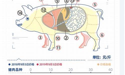 猪肉涨价问题的分析(猪肉涨价折射的社会问题)_https://www.ccit-cctv.com_深交所_第1张