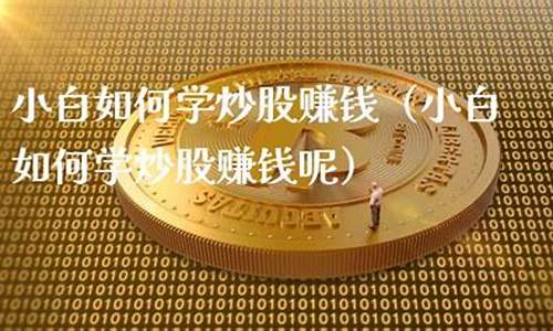 新手小白怎么炒股(新手小白怎样炒股)_https://www.ccit-cctv.com_深交所_第1张