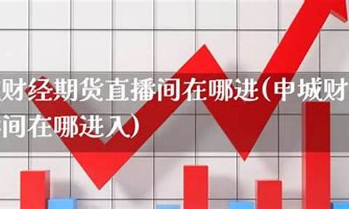 申城财经期货直播间怎么进去(申城财经期货直播间怎么进去的)_https://www.ccit-cctv.com_科创板_第1张