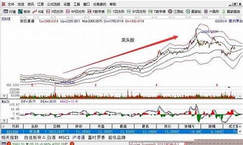 股市直播龙头股是什么意思(股市直播龙头股是什么意思啊)_https://www.ccit-cctv.com_科创板_第1张