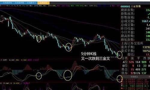 白马股如何挑选(什么是白马选股法)_https://www.ccit-cctv.com_科创吧_第1张