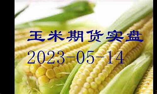 期货玉米直播实盘(玉米期货频道)_北交所_第1张_财经网 期货玉米直播实盘(玉米期货频道)_https://www.ccit-cctv.com_北交所_第1张