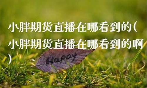 小胖期货直播在哪看到订单(小胖期货直播在哪看到订单记录)_https://www.ccit-cctv.com_科创吧_第1张