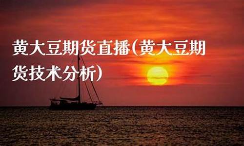 大豆期货直播在线(大豆期货平台)_https://www.ccit-cctv.com_北交所_第1张
