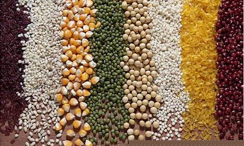 粮食期货大事件视频直播(粮食期货行情)_https://www.ccit-cctv.com_上交所_第1张