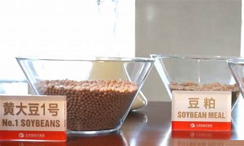 豆油期货直播室(豆油期货直播室在哪)(豆油期货网)_https://www.ccit-cctv.com_创业板_第1张