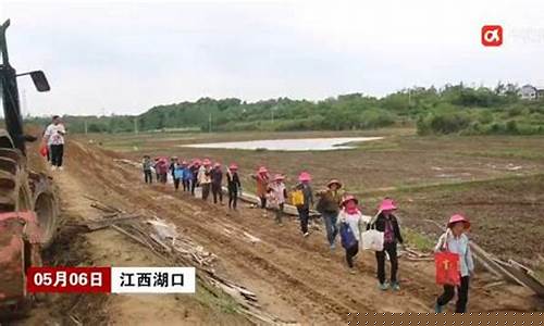 绵花期货直播(棉花期货频道)(棉花期货平台)_https://www.ccit-cctv.com_科创吧_第1张