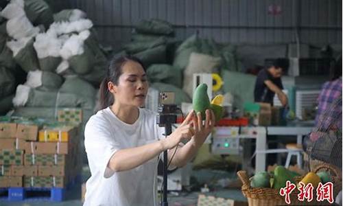 芒果期货直播(芒果期货直播室)(芒果交易所怎么样)_https://www.ccit-cctv.com_北交所_第1张