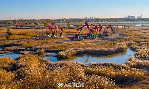 大庆二十五亿吨原油誓师大会直播(大庆累计生产原油27亿吨)(大庆油田累计原油产量)_https://www.ccit-cctv.com_科创板_第1张
