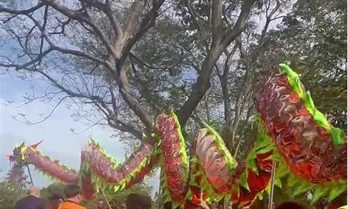 舞龙财经直播(舞龙的节目)(舞龙概念)_https://www.ccit-cctv.com_科创吧_第1张
