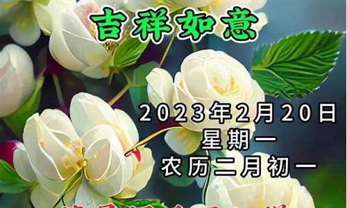 2月20日wu2198股市直播(2月20日股市)_https://www.ccit-cctv.com_北交所_第1张