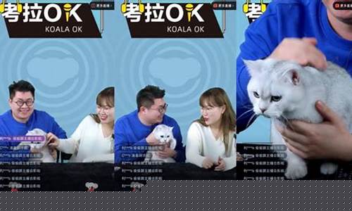 龙哥讲财经直播间(龙哥说财经)(龙哥财经课的主播叫什么)_https://www.ccit-cctv.com_深交所_第1张