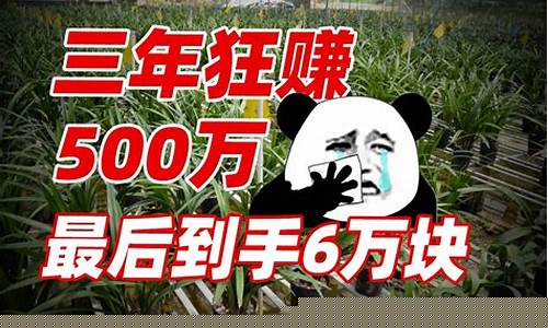 登丰财经直播(登丰财经)(登丰科技有限公司)_https://www.ccit-cctv.com_北交所_第1张