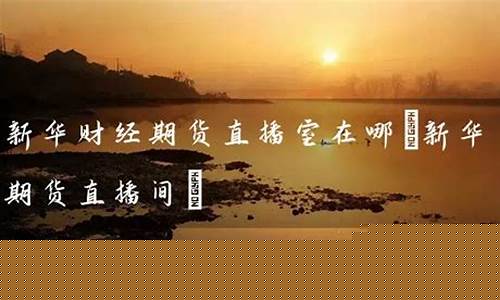 新华期货期货频道直播回放(新华期货期货频道直播回放在哪看)(新华国际期货直播)_https://www.ccit-cctv.com_科创吧_第1张