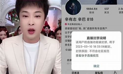 财经直播辛巴(财经直播辛巴是谁)(cctv2财经节目表辛巴)_https://www.ccit-cctv.com_科创板_第1张