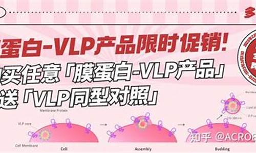 VlP期货直播室(vip期货直播室)(期货直播网站)_https://www.ccit-cctv.com_北交所_第1张