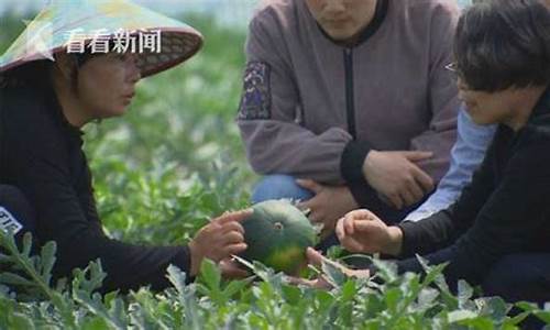 西瓜直播期货(西瓜直播期货交易平台)_https://www.ccit-cctv.com_深交所_第1张