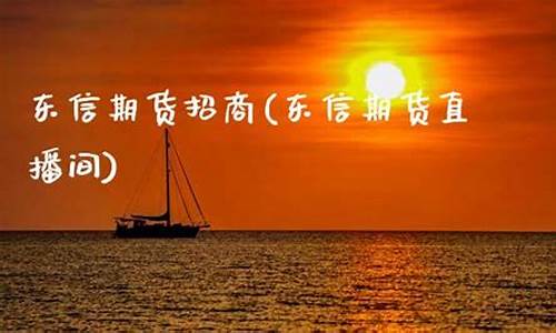 东信期货直播间(东信期货直播间怎么进)(东信财经直播间)_https://www.ccit-cctv.com_北交所_第1张