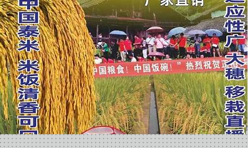 稻粱财经直播(稻谷财经资讯)(稻粱是什么意思)_https://www.ccit-cctv.com_科创吧_第1张