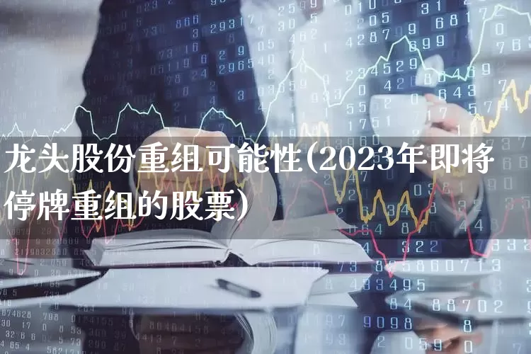 龙头股份重组可能性(2023年即将停牌重组的股票)_https://www.ccit-cctv.com_上交所_第1张