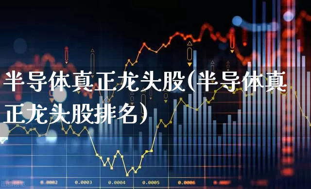 半导体真正龙头股(半导体真正龙头股排名)_https://www.ccit-cctv.com_北交所_第1张