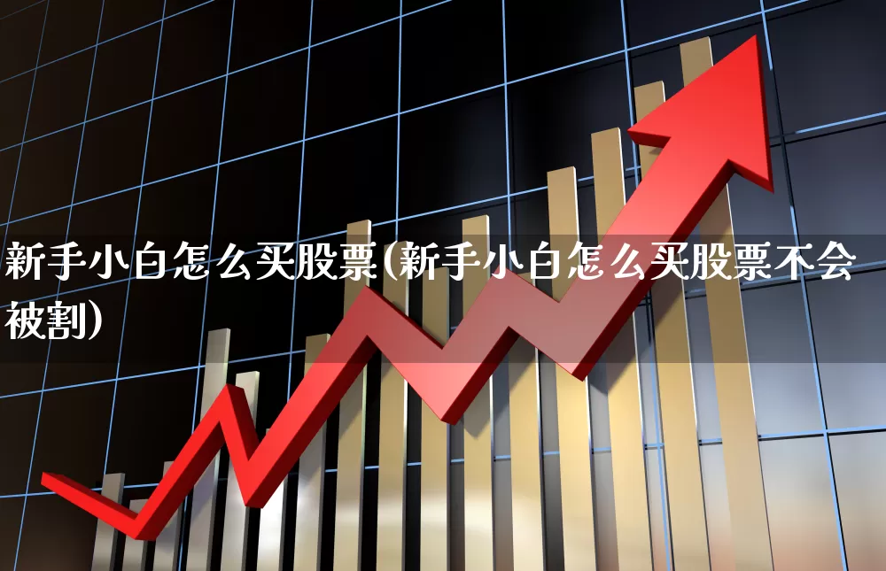 新手小白怎么买股票(新手小白怎么买股票不会被割)_https://www.ccit-cctv.com_创业板_第1张