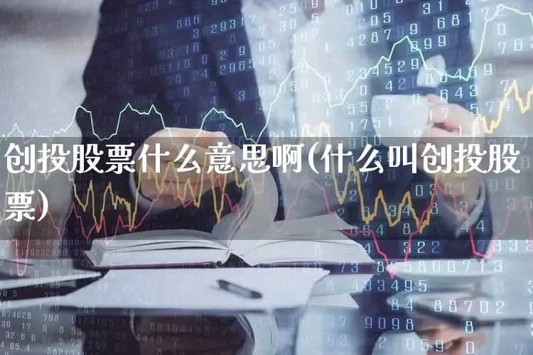 创投股票什么意思啊(什么叫创投股票)_https://www.ccit-cctv.com_创业板_第1张