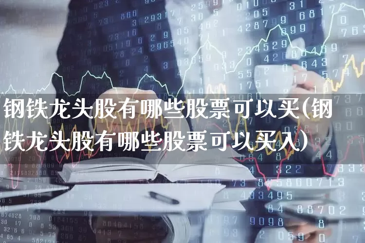 钢铁龙头股有哪些股票可以买(钢铁龙头股有哪些股票可以买入)_https://www.ccit-cctv.com_深交所_第1张