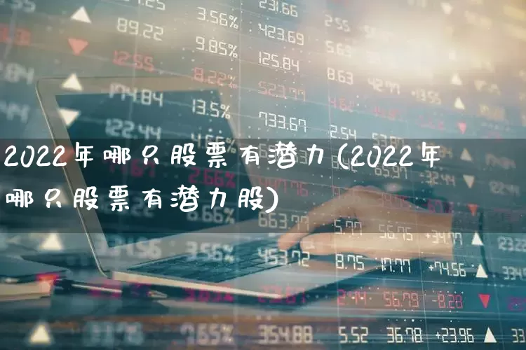 2022年哪只股票有潜力(2022年哪只股票有潜力股)_https://www.ccit-cctv.com_上交所_第1张