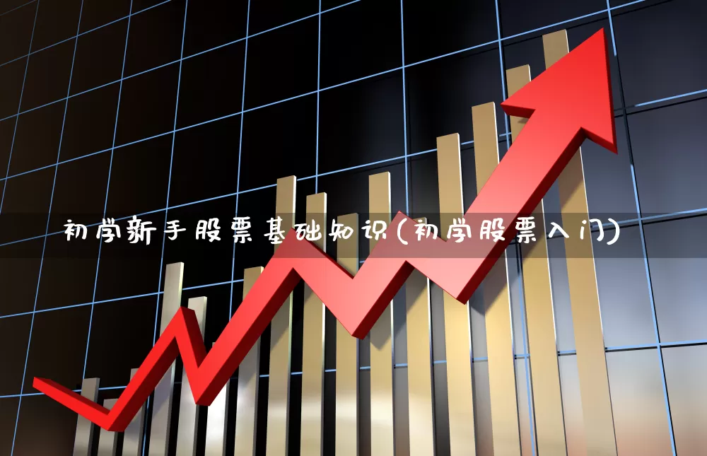 初学新手股票基础知识(初学股票入门)_https://www.ccit-cctv.com_北交所_第1张