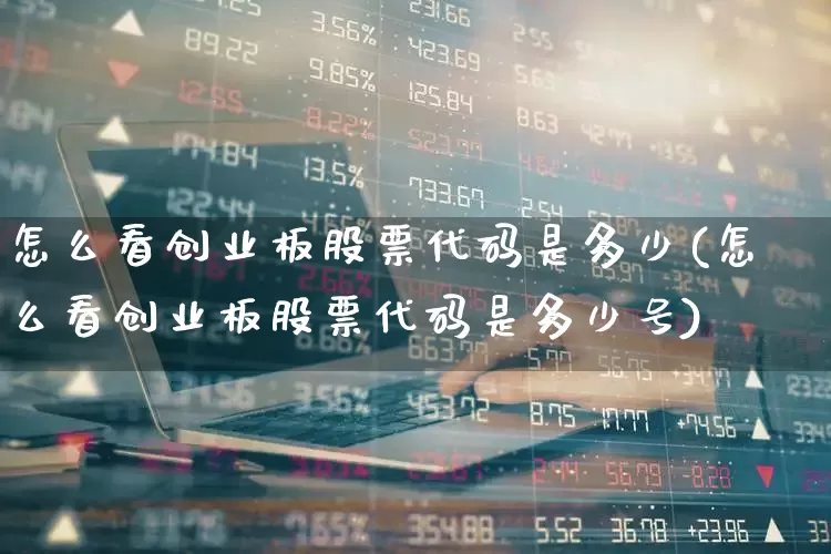 怎么看创业板股票代码是多少(怎么看创业板股票代码是多少号)_https://www.ccit-cctv.com_北交所_第1张