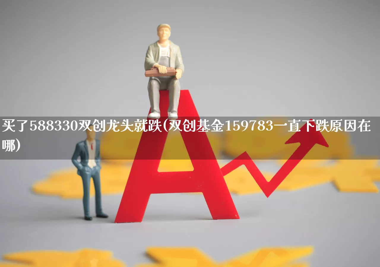 买了588330双创龙头就跌(双创基金159783一直下跌原因在哪)_https://www.ccit-cctv.com_北交所_第1张