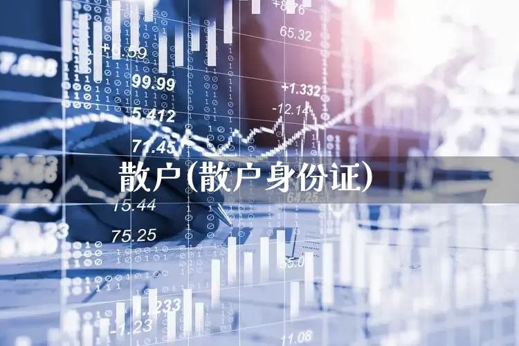 散户(散户身份证)_https://www.ccit-cctv.com_深交所_第1张