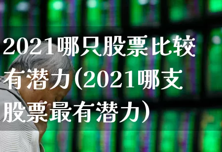 2021哪只股票比较有潜力(2021哪支股票最有潜力)_https://www.ccit-cctv.com_创业板_第1张