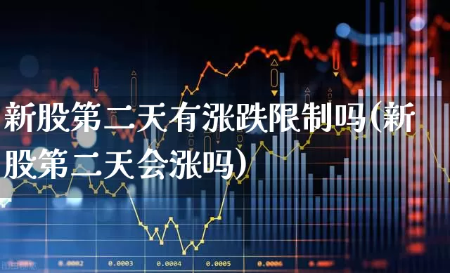 新股第二天有涨跌限制吗(新股第二天会涨吗)_https://www.ccit-cctv.com_深交所_第1张