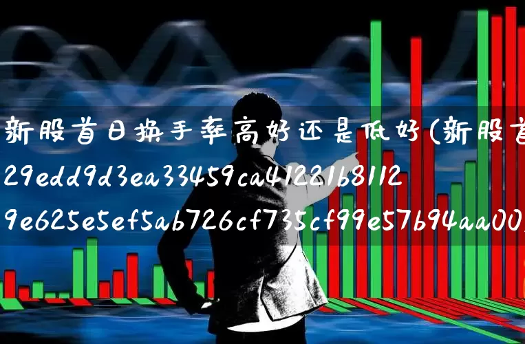 新股首日换手率高好还是低好(新股首日换手率80%)_https://www.ccit-cctv.com_北交所_第1张