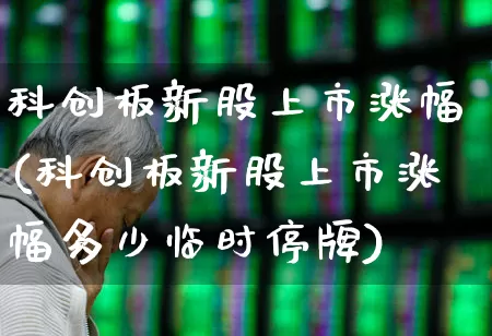 科创板新股上市涨幅(科创板新股上市涨幅多少临时停牌)_https://www.ccit-cctv.com_上交所_第1张