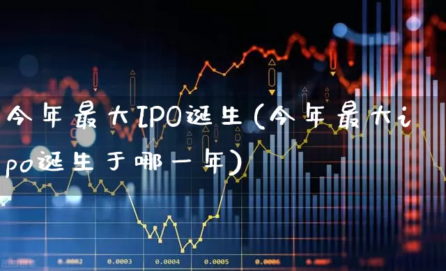 今年最大IPO诞生(今年最大ipo诞生于哪一年)_https://www.ccit-cctv.com_上交所_第1张